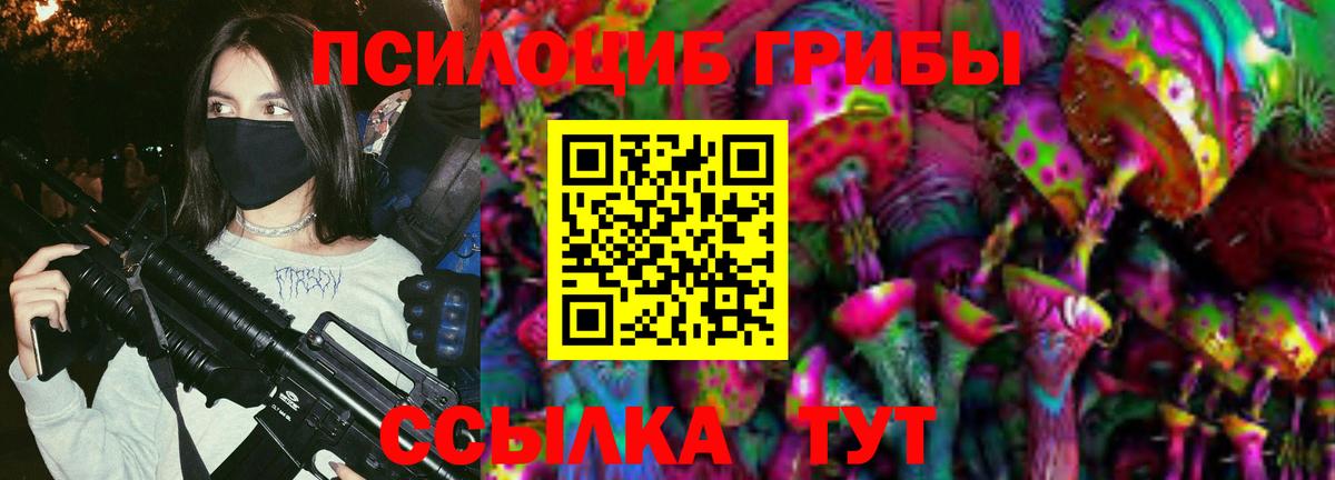 Псилоцибиновые грибы прущие грибы  как найти   Брянск  Псилоцибиновые грибы Psilocybe  Вход с VPN 